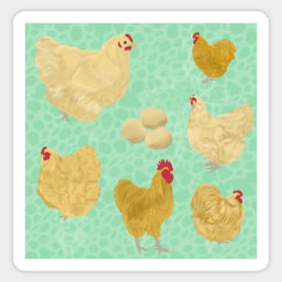 Buff Orpington Chickens Mint Sticker